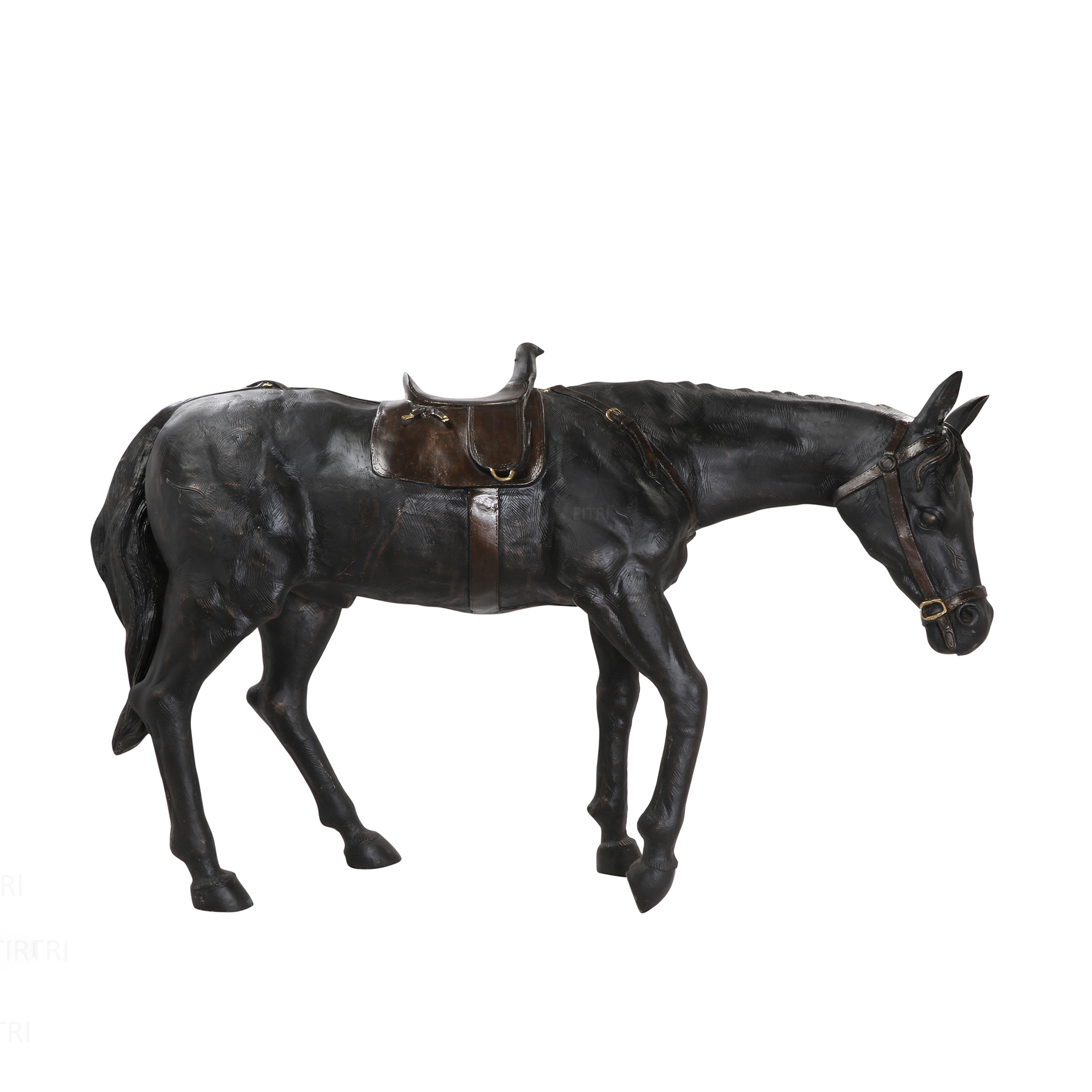 The Stallion