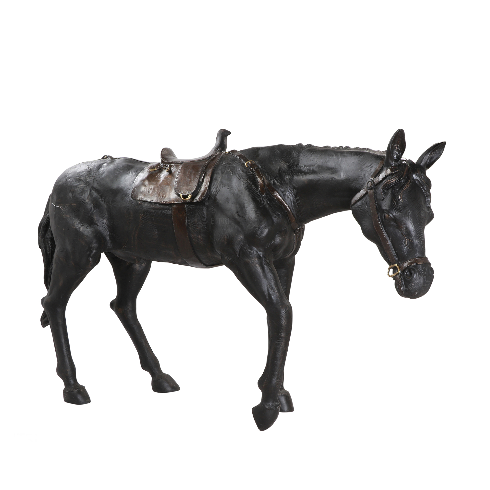 The Stallion