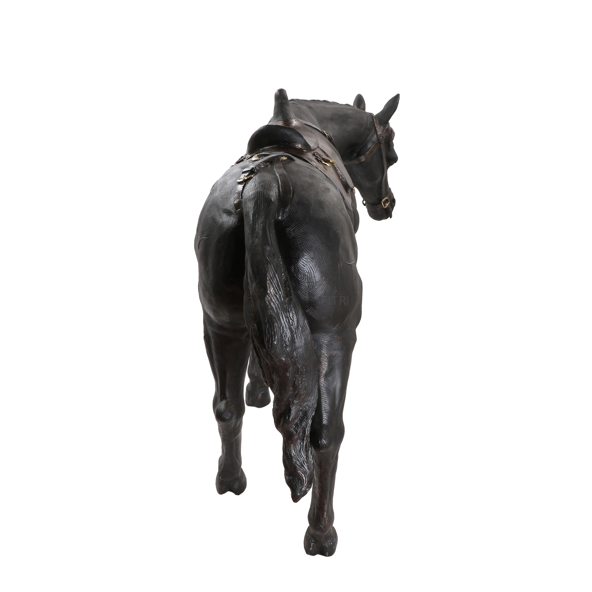 The Stallion