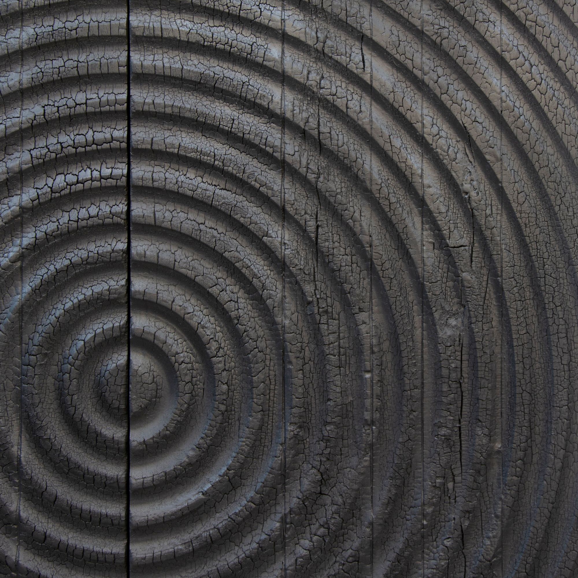 Carbon 12 Cabinet